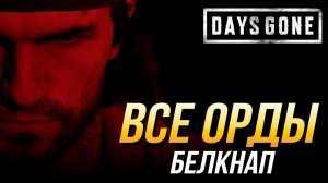 Days Gone - Все орды | Белкнап
