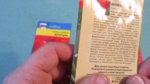 ПРОСТО ОГРОМНЫЙ сорт ПЕРЦА АТЛАНТ сажал и буду САЖАТЬ на ВЕСНУ 2020 года!