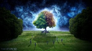 ?Научная молитва Изобилия  Джозеф Мерфи?