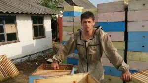 Трутни в сентябре, плюс или минус?