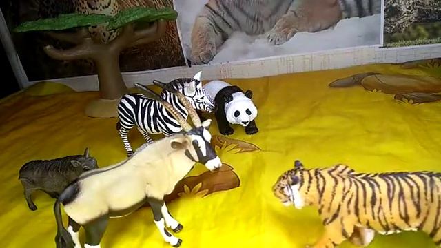 Добрый каморский варан и спасение им животных смотреть онлайн