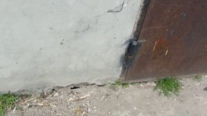 Набор для покраски с баком. PT-01G КРАТОН.