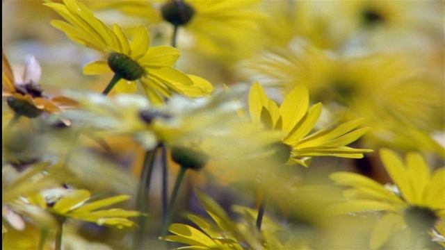 Планета Земля. 7 серия. Документальный фильм. смотреть онлайн