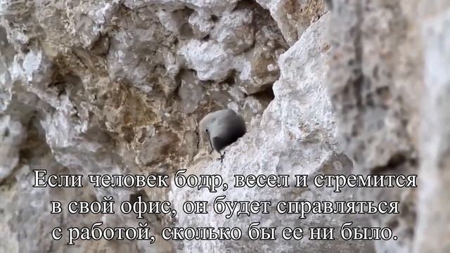 Работа должна оставаться на работе — Статья смотреть онлайн