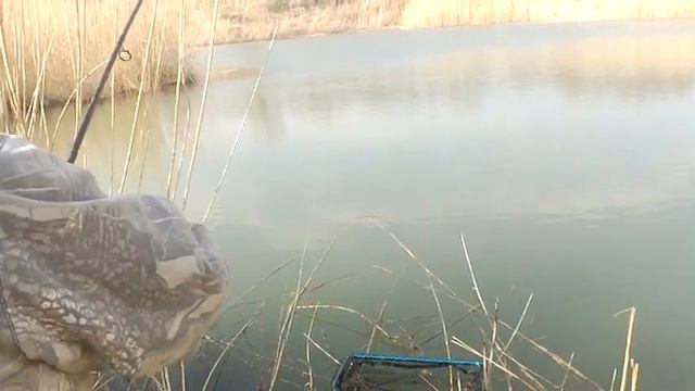#Рыбалка. Алматы . Карп 4 кг. Поплавок !!! .#fishing #сазан #экран #огромнаярыба смотреть онлайн