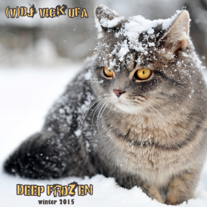 DJ Vick Ufa - (Trends 2015) Deep Frozen vol.2