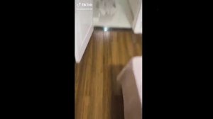 Короткие видео приколы Тик Ток