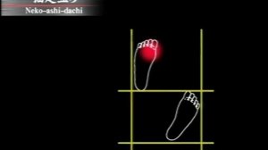 Neko ashi dachi - Неко аси дати