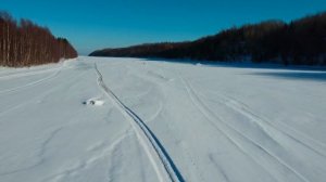 Покатушки на мотособаке