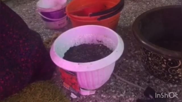 Букетный способ посадки однолетних цветов смотреть онлайн