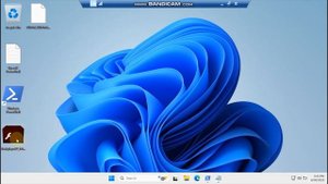 Adobe Flash Player on Windows 11?