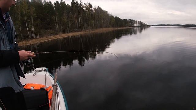 Твичинг в бесклевье. Щука после нереста в начале мая (Финляндия) смотреть онлайн