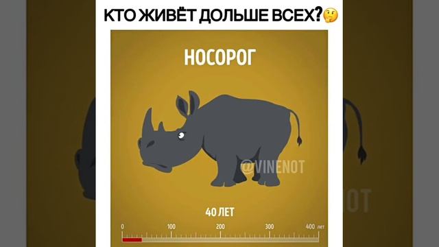 Кто живет дольше всех!? смотреть онлайн
