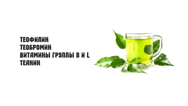 Тайны зеленого чая | Почему он так полезен