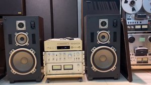 Sony SS-477 Speakers