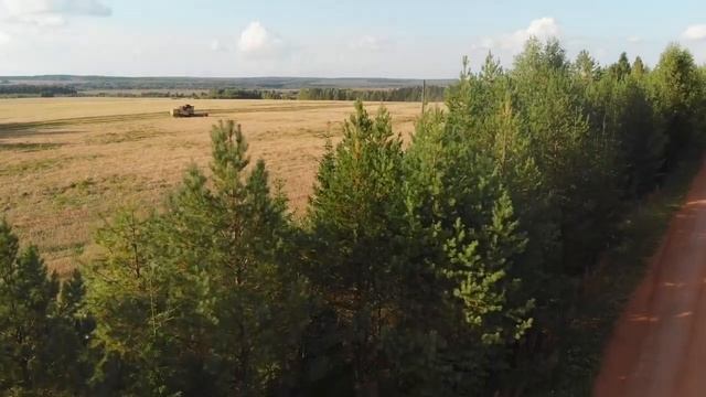 Кировская область Богородский район с высоты птичьего полёта