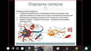 Центральная нервная система