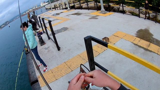 Ставрида и Ёрш на самодур 04.06.2021г. смотреть онлайн