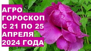 Агрогороскоп с 21 по 25 апреля 2024 года Agrohoroscope from April 21 to April 25, 2024