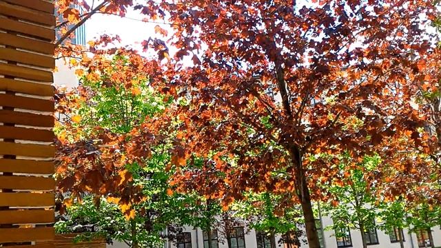 в тихом омуте черти водятся смотреть онлайн