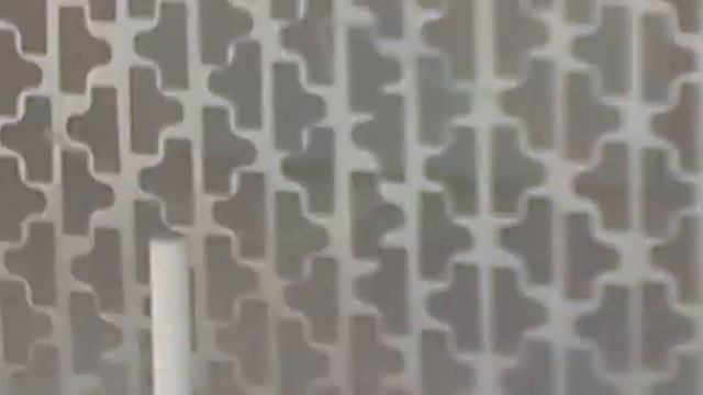 Кот хочет кошку, весна. .mp4 смотреть онлайн