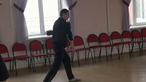 Тунбэй пигуа - дань пи шоу