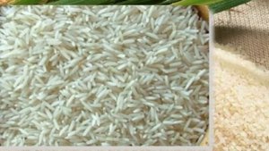 Рецепт - суп из гуся