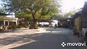 Путь на море с отеля magic sun 4* Кемер Турция