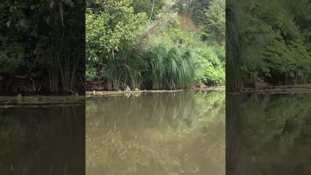 НА БАЙДАРКАХ ПО ЧЕРЕМШАНУ ЗА ТРИ ДНЯ
