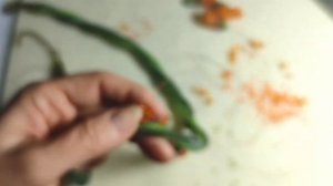 МК - как сделать бисерное колье на основе из сеточки