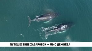 Путешествие по маршруту Хабаровск – мыс Дежнёва