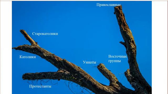 Все христиане католики? смотреть онлайн