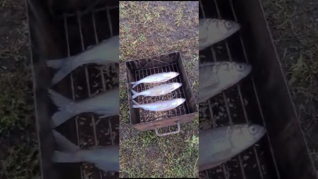 лучшая копчёная рыба! байкальский омуль! вкуснее не придумаешь!