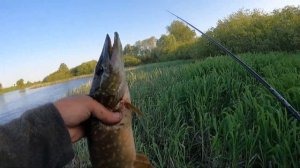 Pontoon 21 Gad PinPoint гасит щук на раз