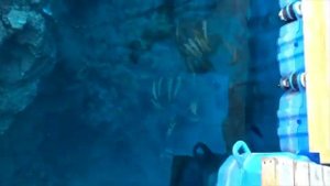 Египет Savoy Савой  Шарм эль шейх. Самый красивый коралловый риф . Egypt Savoy Sharm el Sheikh