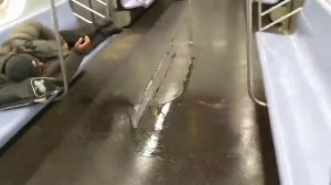 бомж писает под песню бадабум