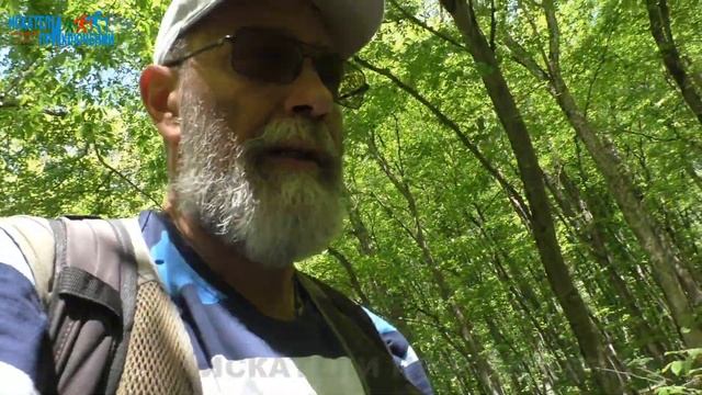 40 Травертиновое чудо в Русском лесу  Прогулки и экскурсии вокруг Ставрополя