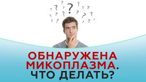 Обнаружена микоплазма. Что делать?