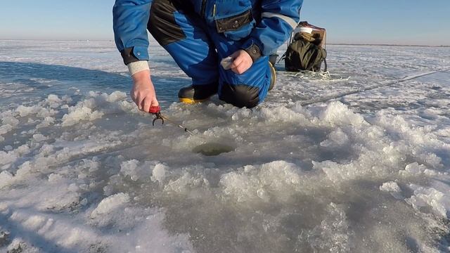 оз.УЕЛГИ! Клёво было ВЧЕРА и ЗАВТРА❗ смотреть онлайн