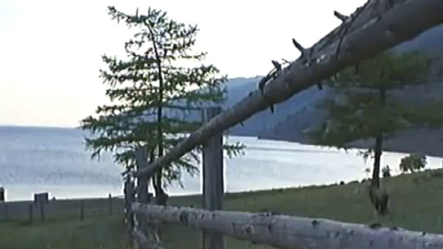 Вся власть в Сибири для госкорпорации смотреть онлайн