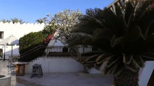 Swiss Inn Dahab, обзор отеля