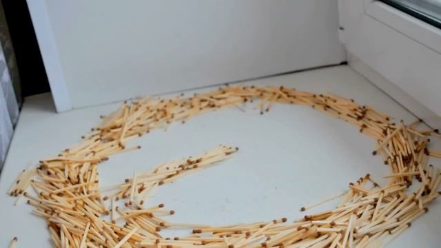 NIKON D5000 смотреть онлайн