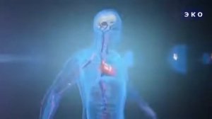 Значение воды в организме!