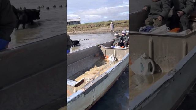 Рыбный промысел у Восточной-Сибирского моря #республикасаха #рыбаки #охота #рыба #якутия