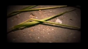 Шок! Найдены Подземные базы пришельцев в России  НЛО и инопланетяне