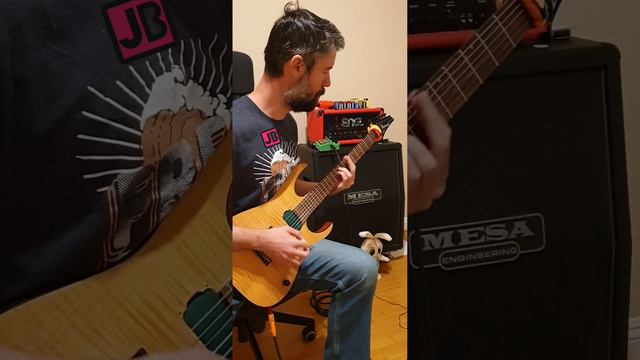 Before and After - Ibanez Pickup Upgrade Seymour Duncan. Part 5 смотреть онлайн