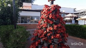 Шарм эль Шейх 2020. 30 декабря Зима в Шарме. Пляжи Наама бей. Немного новостей.