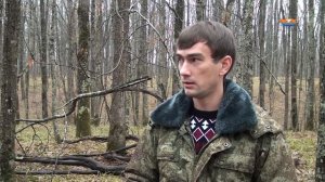 Новые правила заготовки валежника в лесах Кубани