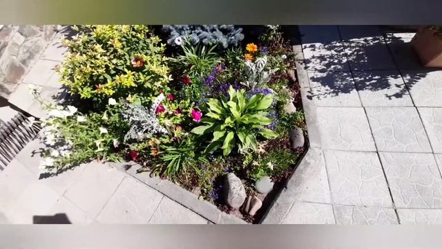 выгребная яма у дома, как замаскировать смотреть онлайн