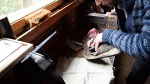 Хлориновая ткань. Приклеивание подошвы кроссовка.